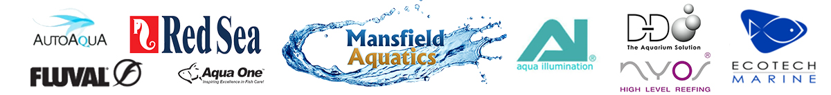 Mansfield Aquatics